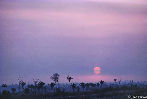 Image from Joao Farkas Amazonia Ocupada Exhibit